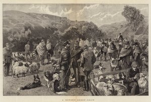 Exposition de moutons à la frontière